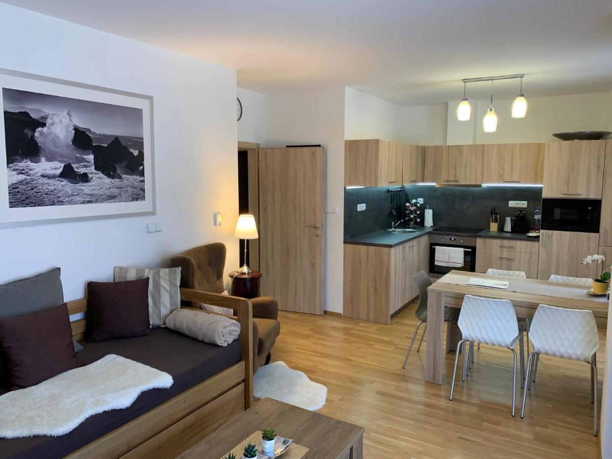 Apartment Rezidence - Javor & Wellness Železná Ruda Extérieur photo