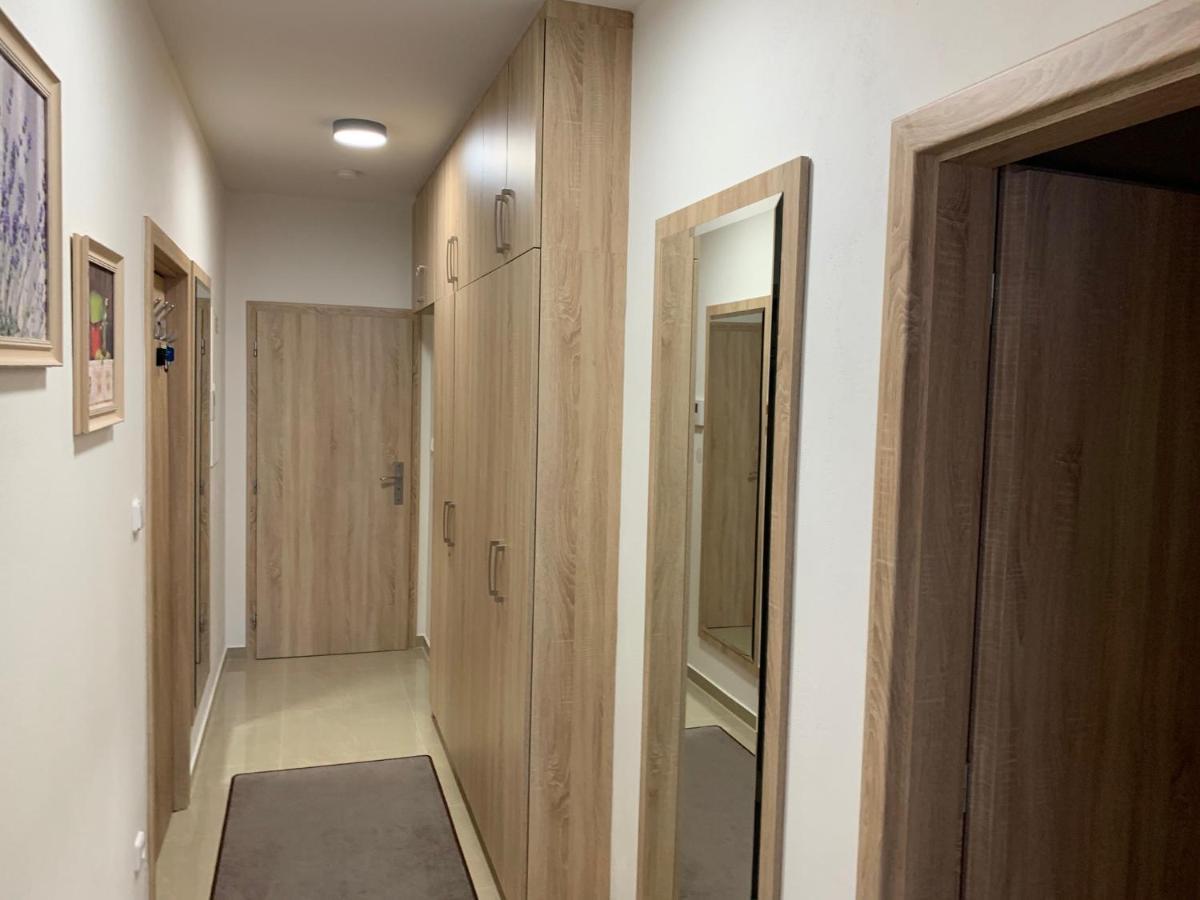 Apartment Rezidence - Javor & Wellness Železná Ruda Extérieur photo