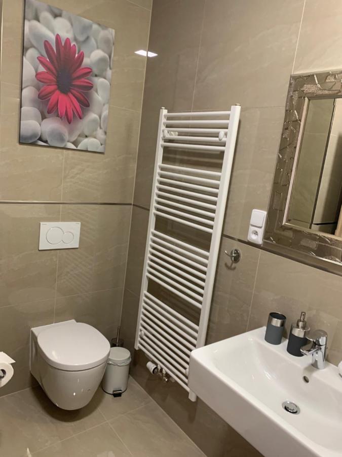 Apartment Rezidence - Javor & Wellness Železná Ruda Extérieur photo