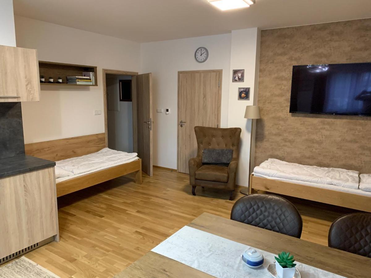 Apartment Rezidence - Javor & Wellness Železná Ruda Extérieur photo