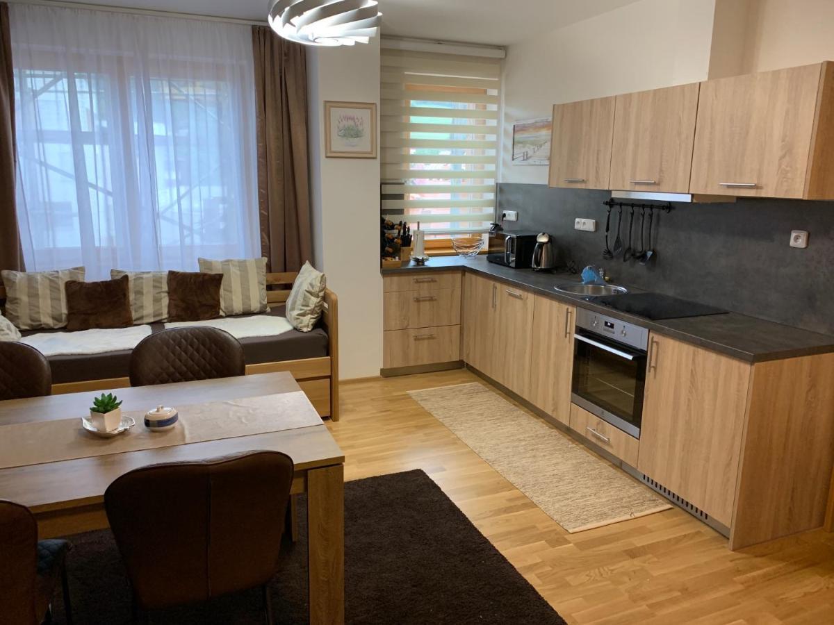 Apartment Rezidence - Javor & Wellness Železná Ruda Extérieur photo