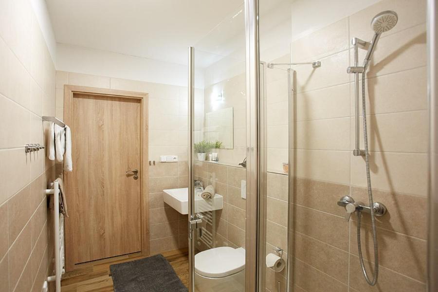 Apartment Rezidence - Javor & Wellness Železná Ruda Extérieur photo