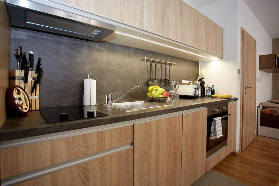Apartment Rezidence - Javor & Wellness Železná Ruda Extérieur photo